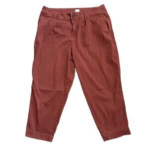 A New Day Maroon Ankle Pants